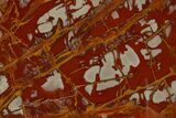 Polished Noreena Jasper Section - Australia #314235-1